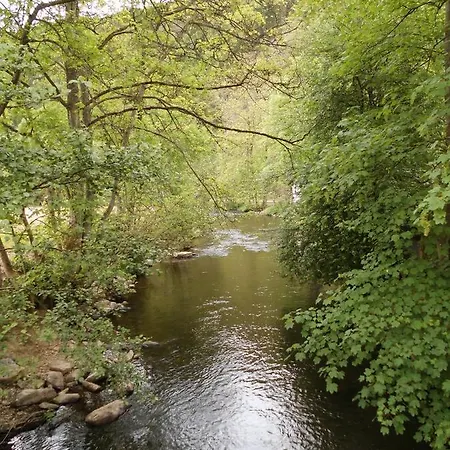 Le Beau Rivage - M24 Chalet